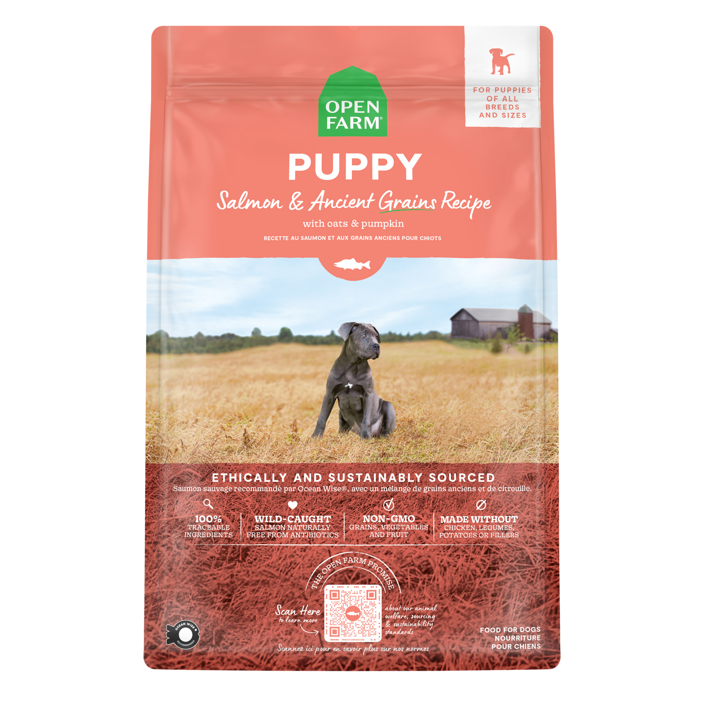 Open Farm Salmon & Ancient Grains Puppy 22lbs