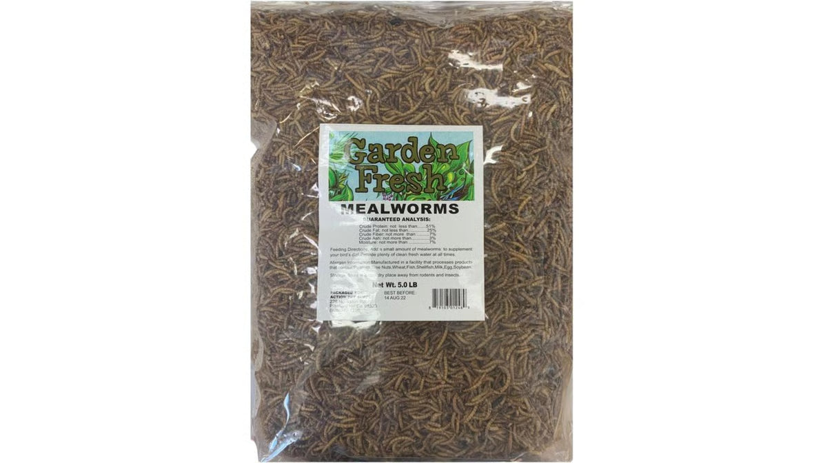 Garden Fresh Mealworms 5lbs