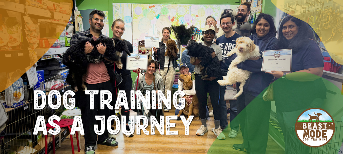 Why Dog Training Works Best as a Journey