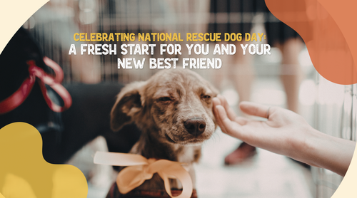 National Rescue Dog Day: A Fresh Start for You and Your New Best Friend