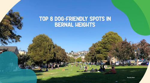 Top 8 Dog-Friendly Spots in Bernal Heights