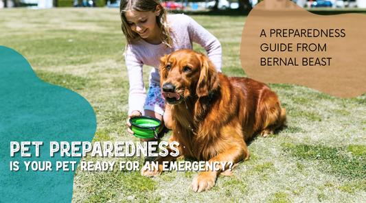 Is Your Pet Ready for an Emergency? A Preparedness Guide from Bernal Beast