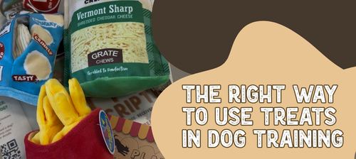 How to Use Treats in Dog Training and Enrichment (and What to Skip)