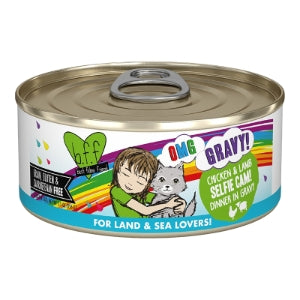 Weruva BFF Selfie Cam Chicken & Lamb 5.5oz Case For Cats