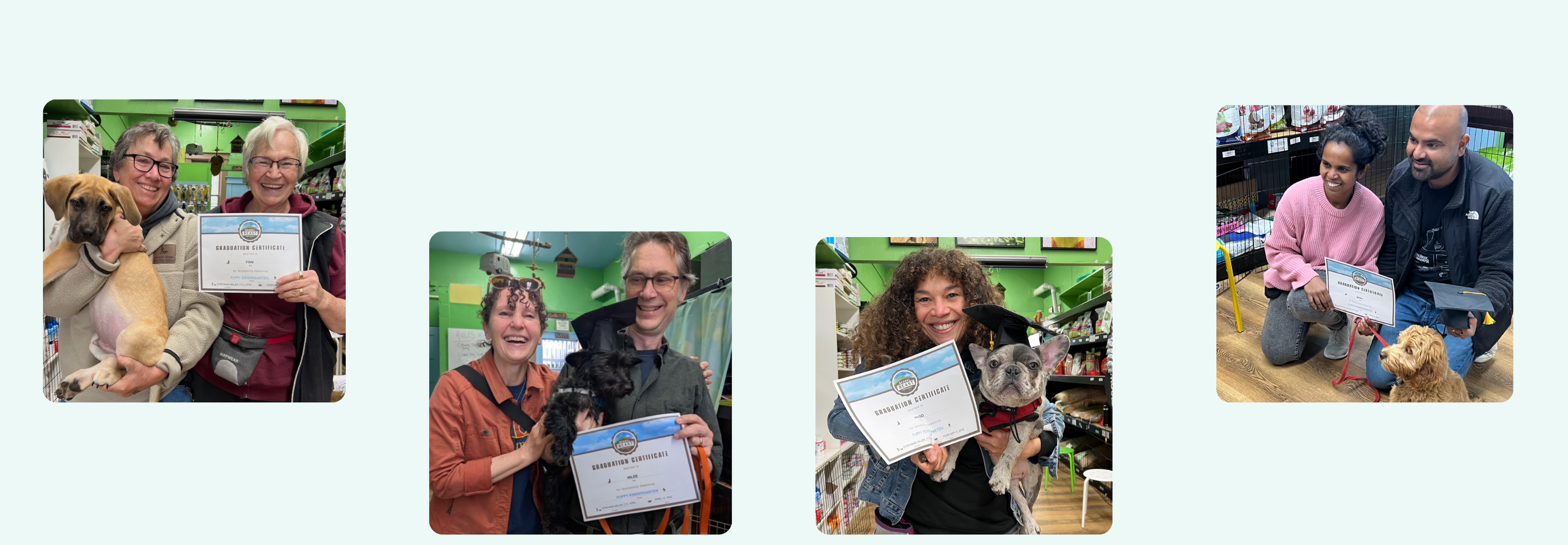 puppy training graduates beast mode pet training dog classes in bernal heights bernal beast shop dog training for puppies and adults