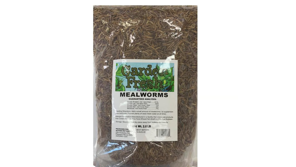 Garden Fresh Mealworms 2lbs