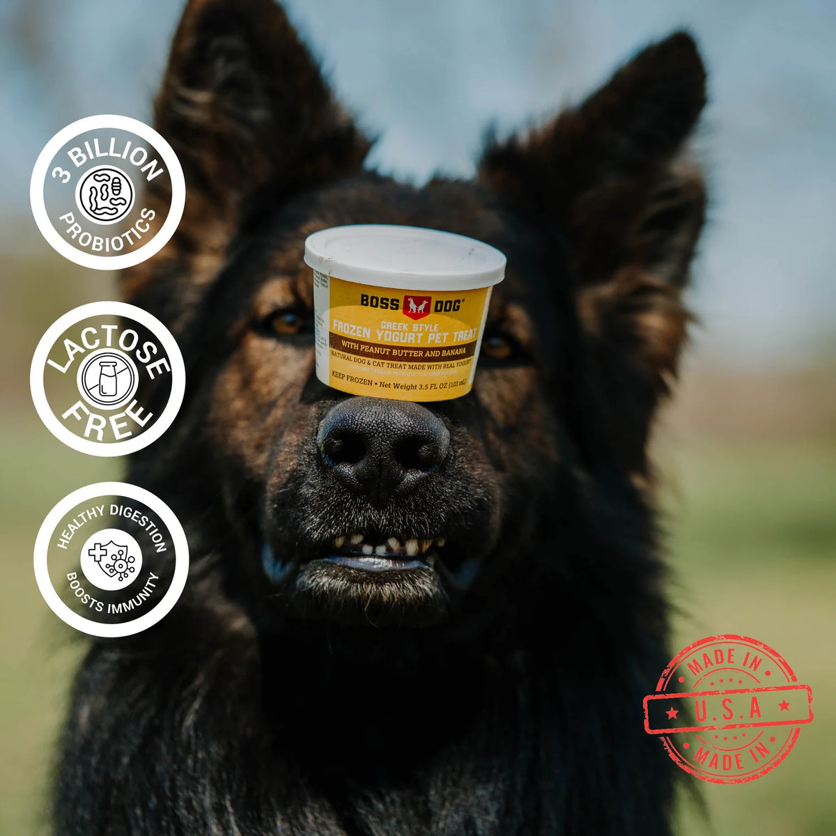 Boss Dog Frozen Yogurt Peanutbutter Banana 3.5oz