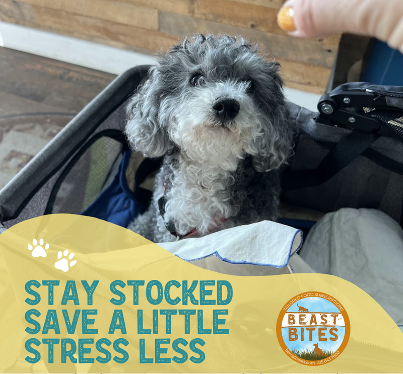 Dog sitting in a car seat with a hand holding a treat, promotional text overlay, and Beast Bites logo.