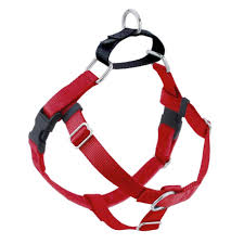 Freedom No Pull Harness Turquoise Medium Various Colors